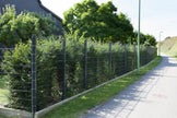 Doppelstabmatte Komfort 6/5/6 mm by Zaunpaket24 showcasing sturdy steel fencing with a double wire design.